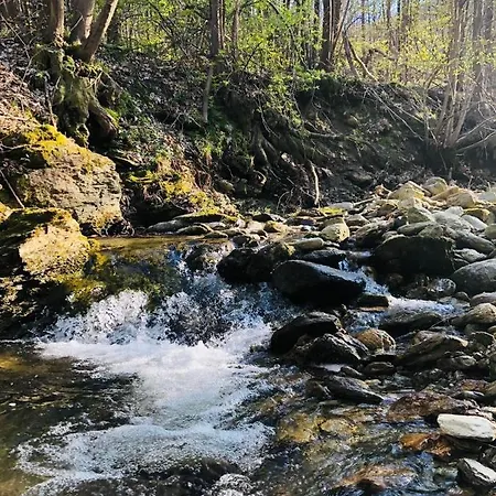 ベッド・アンド・ブレックファスト Da Nora 3*