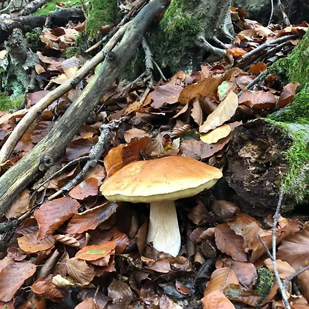 Da Nora Frühstückspension